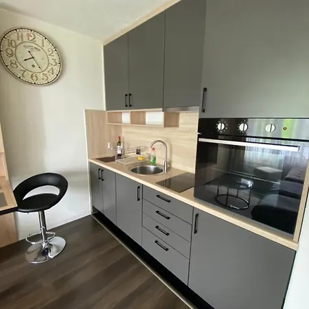 Ela Apartman Stan Na Dan * برييدور