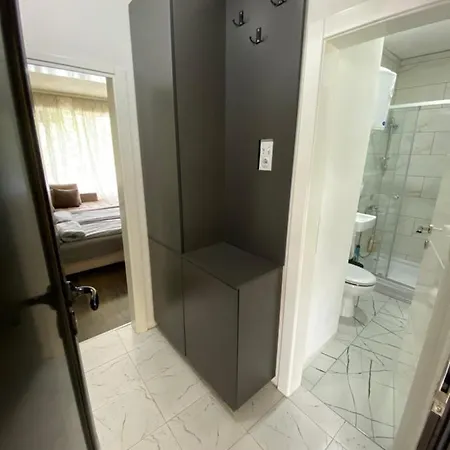 Ela Apartman Stan Na Dan شقة